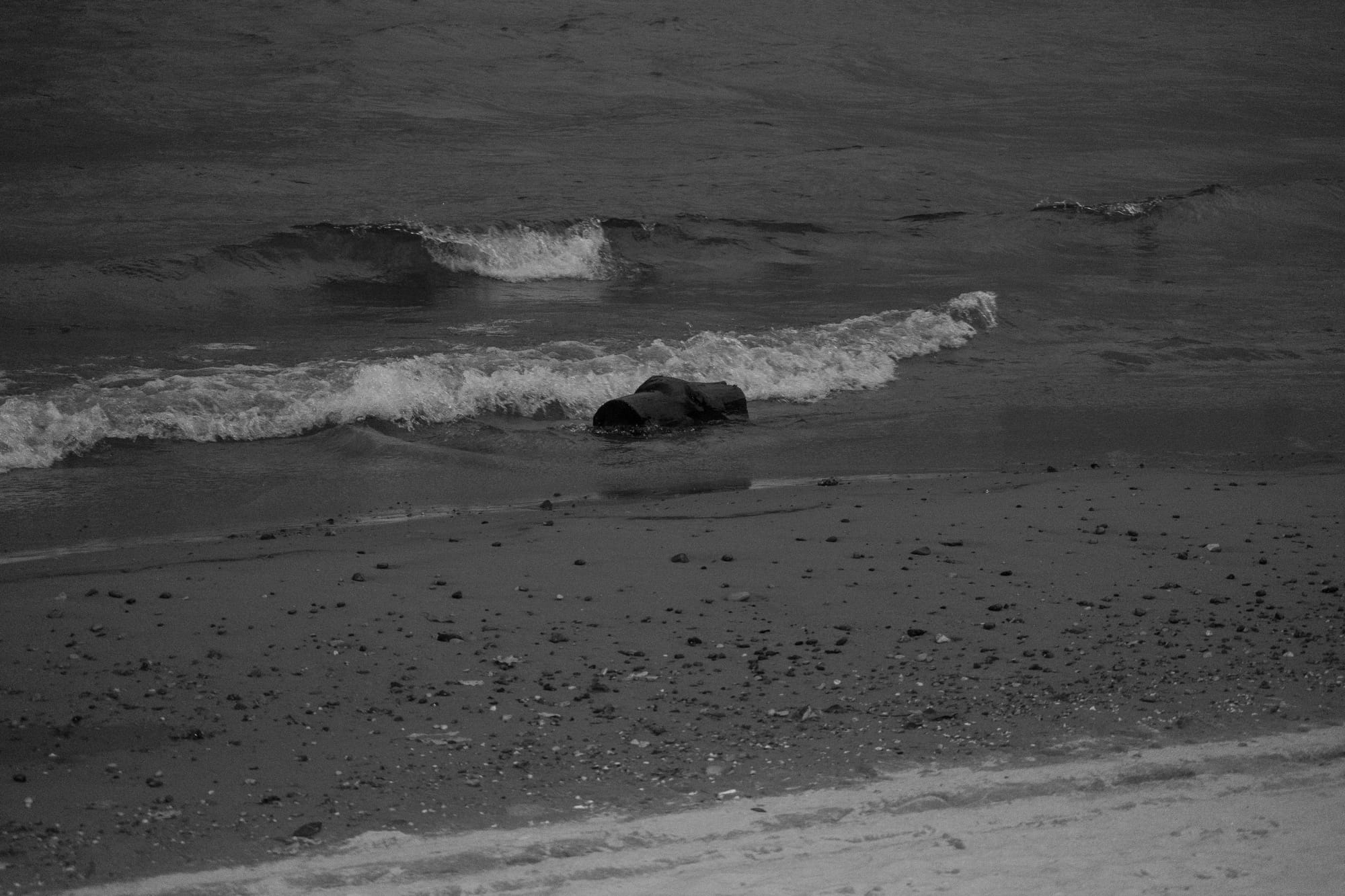 A lone log floats in the surf of Lake Michigan.